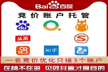 搜索引擎竞价推广实战：行业领先企业的成功秘诀